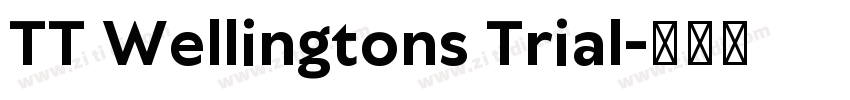 TT Wellingtons Trial字体转换